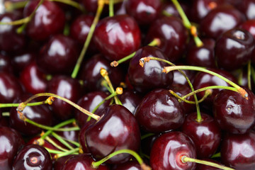 Cherry red juicy. Useful tasty berries rich in vitamins. 