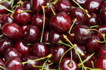 Red cherry juicy close. Useful tasty berries rich in vitamins. 