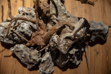 Aquarium Decor Rocks And Wood