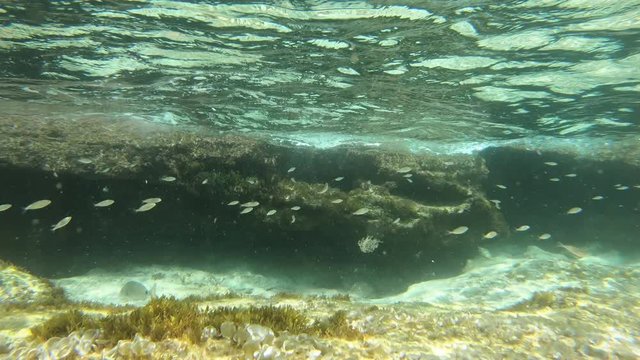 Unterwasser im Meer mit Actioncam
