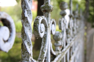 Fototapeta premium Zahn der Zeit