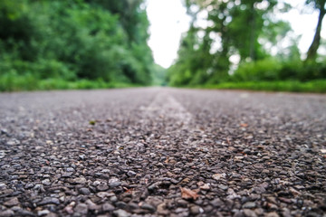 Makro verlassene Stra&szlig;e ins Gr&uuml;n am Wegesrand Natur gr&uuml;ne B&auml;ume 