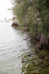 Trieste, castello di miramare e landscapes