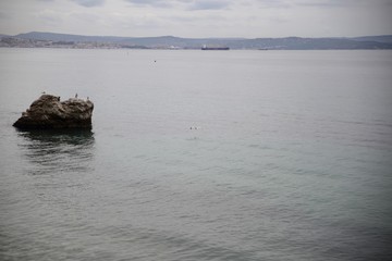 Fototapeta na wymiar Trieste, castello di miramare e landscapes