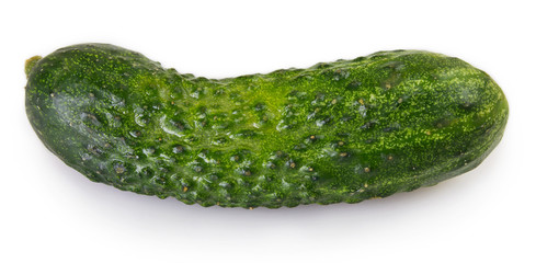 Fresh cucumbers