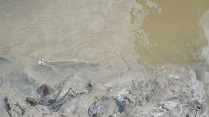 GEDSC DIGITAL CAMERA