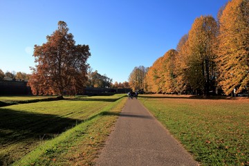 Lucca Commics