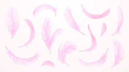 Obraz premium Vector pink feathers collection, set of different falling fluffy twirled feathers, isolated on white background. Realistic style, vector 3d illustration.