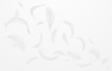 Vector white feathers collection, set of different falling fluffy twirled feathers, isolated on white background. Realistic style, vector 3d illustration.