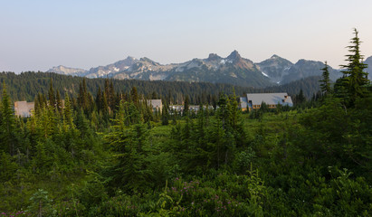 Paradise is the main visitor center in Mt Rainier National Park. It offers many trails for...
