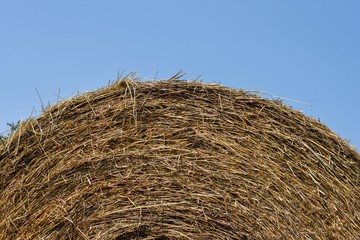 closeup of a single hay bale
