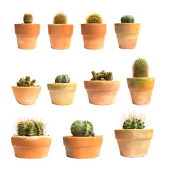 Set of pot cactus plant isolated on white background.