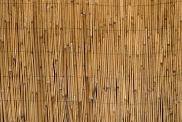 Bamboo fence background