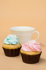sweet cup cake dessert on yellow background and copy space