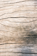 Texture old wood , dirty surface wood background, hardwood
