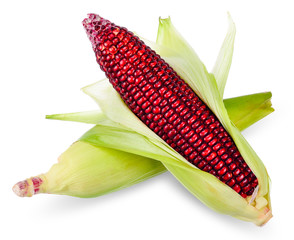 Corn isolated on white with clipping path