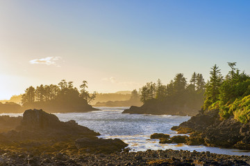 Shoreline at wild pacific trail in Ucluelet, Vancouver Island, BC - 217510513