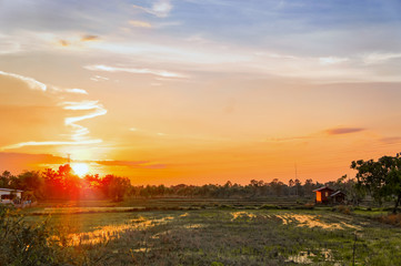 sunset in the countryside Field