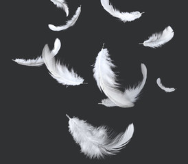 Abstract white feathers falling in the air. isolated on black background