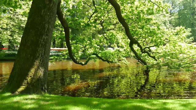 Parco botanico Keukenhof in Olanda