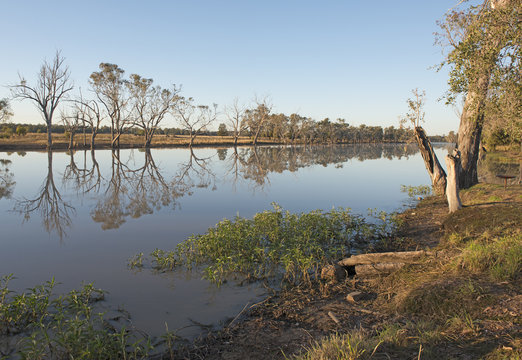 Caliguel lagoon near Condamine, Queensland .