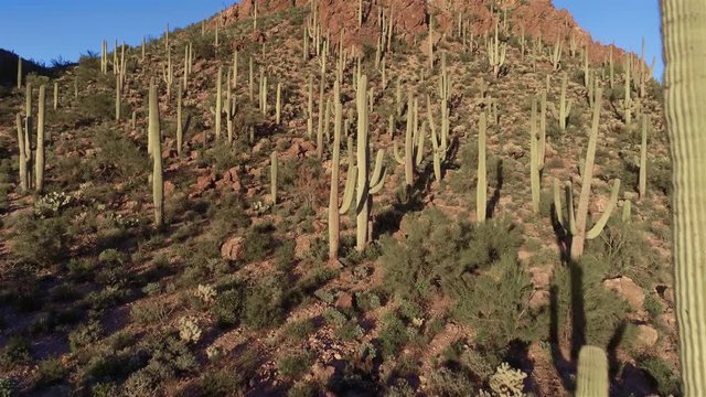 Desert Mountain Pass Drone Footage - View 5