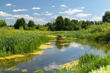 Fototapeta na wymiar Year landscape with stream