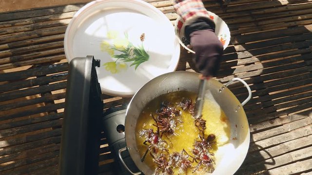 Woman taking deep fried tarantulas out of a wok using metal tongs and putting them into a plate (upper view)