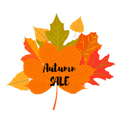 Obraz premium Set of autumn yellow leaves and inscription Autumn sales