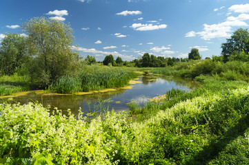Year landscape with stream