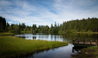 Kampleitenteich im Waldviertel