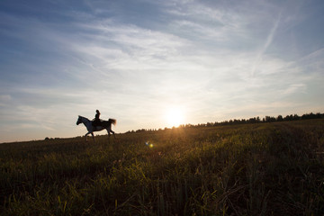 Fototapeta na wymiar Girl on a horse in the sunset. Sunset. Animals. Equestrian sport. Nature. Romance