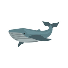 Blue whale color vector icon. Flat design