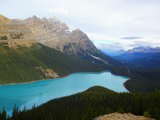 Obraz premium Wonderful Peyto Lake in Banff National Park in Alberta, Canada