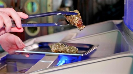 Chef taking out the shells from aquarium of seafood restaurant, close-up.