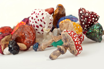 mushrooms are isolated on a white background