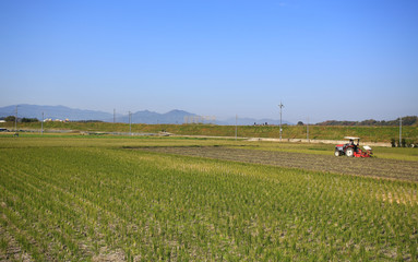 farm view of japan Kameoka shi