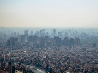 新宿高層ビル群遠景、スカリツリーからの眺望
