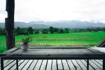 Fototapeta premium Living room In nature Rice Fields in the rainy season 