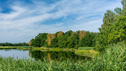 Beautiful coastal landscape with refelecting trees in the water © DZiegler