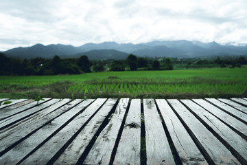 Fototapeta na wymiar Living room In nature Rice Fields in the rainy season 