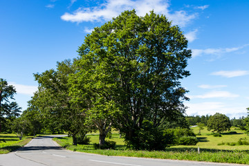 (青森県ｰ風景)観光地・萱野茶屋の峠道３