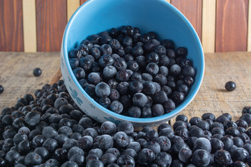 White bowl full with frozen aronia berries
