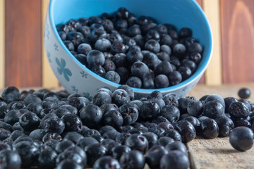 White bowl full with frozen aronia berries