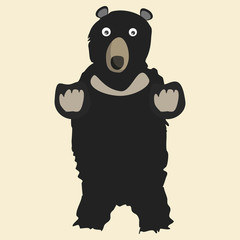 bears vector illustration 