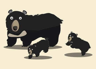 bears vector illustration 
