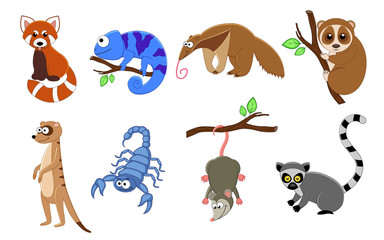 Naklejka premium Set of 8 exotic animals in a cartoon style.