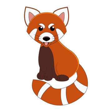 Cute cartoon red panda. Exotic animal. Vector illustration. Isolated on white