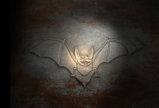 Fledermaus