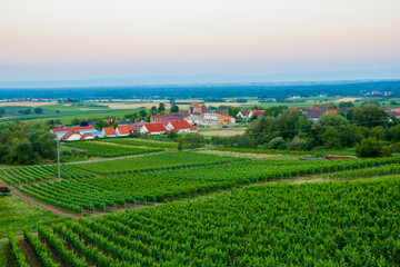 Sunset and evening light with green and growing vineyards with view on the wine region with the village of Schweigen-Rechtenbach, Rhineland-Palatinate, Germany 